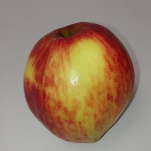 Galicia Apple